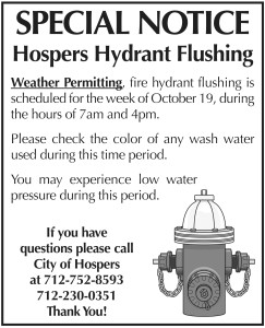 Hydrant Flushing 2020