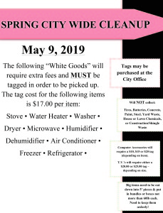Spring 2019 Clean-Up Day