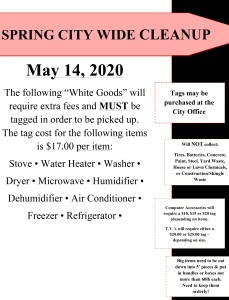 Spring Clean Up 2020
